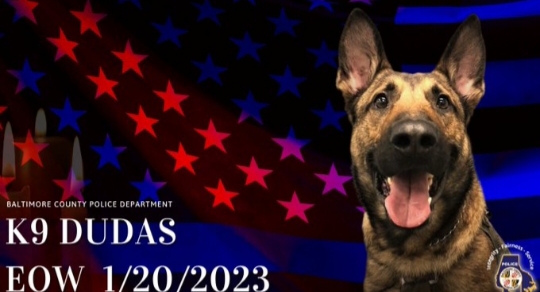 Baltimore County Police K9 Dies
