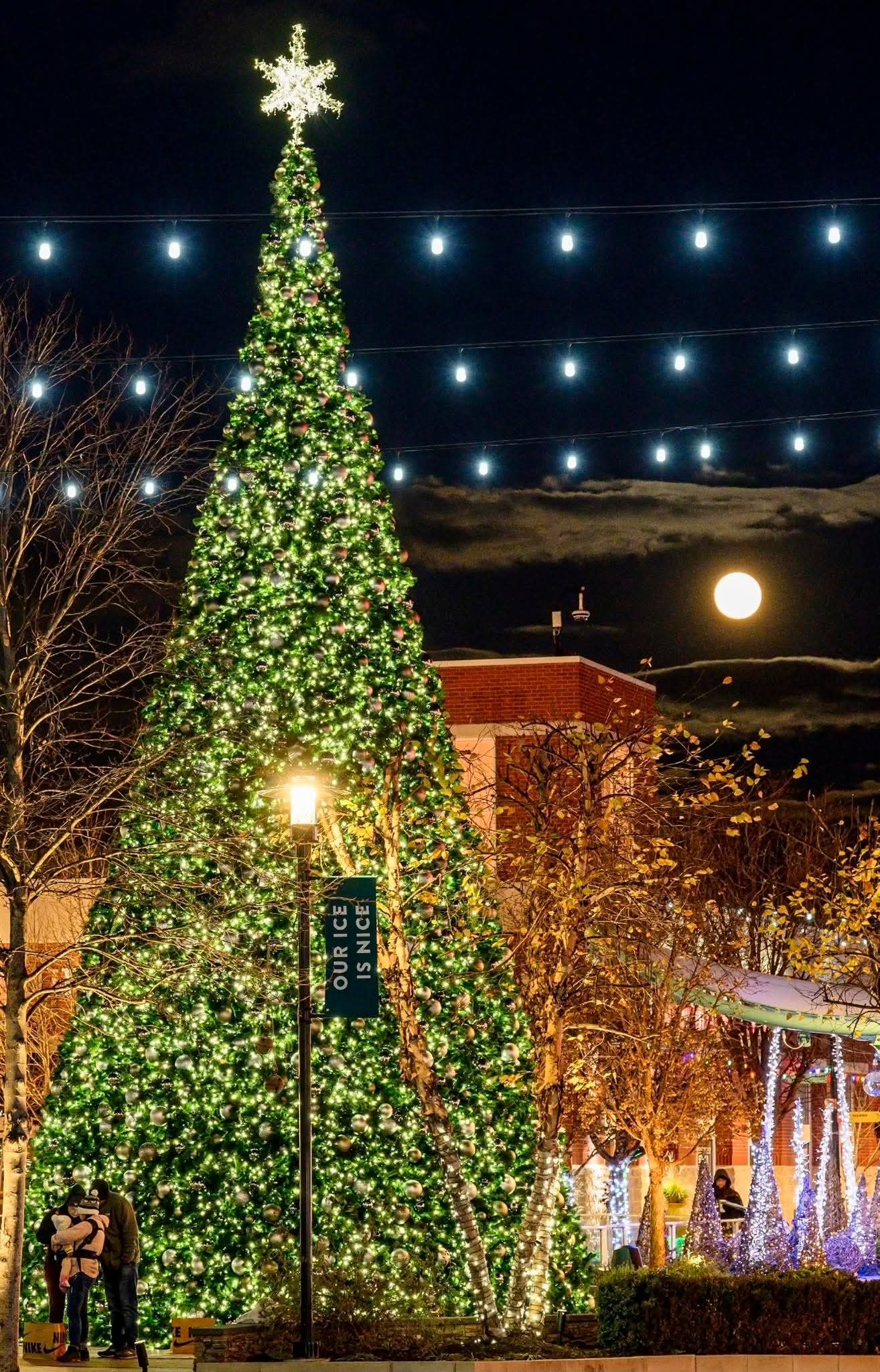 Tree Lighting at THE AVENUE at White Marsh