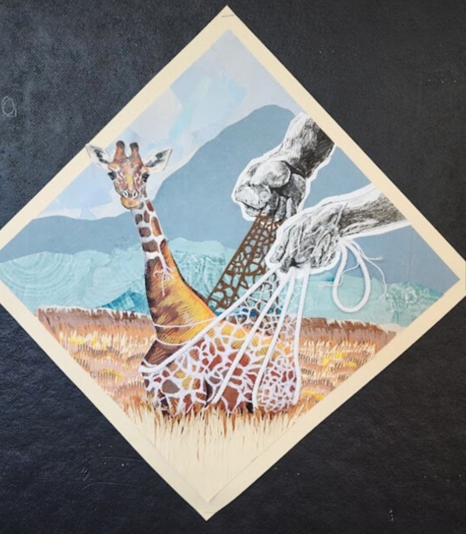 Jayden Cole, Parkville High School, “Unnatural Selection”